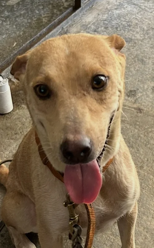 Photo of Junior