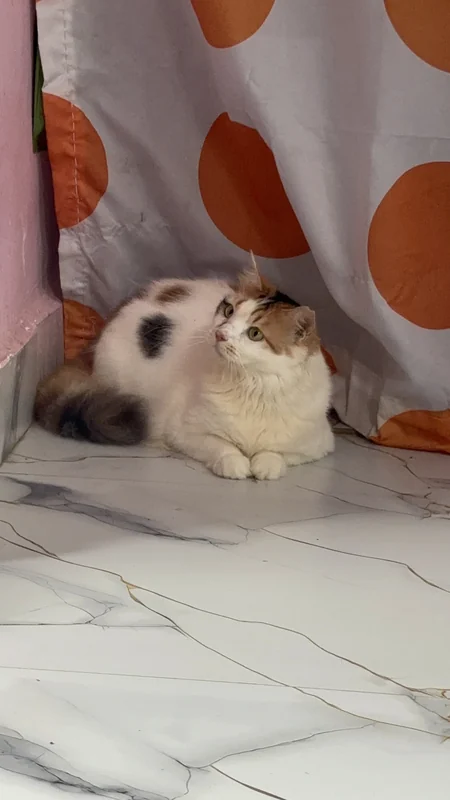 Photo of Mia