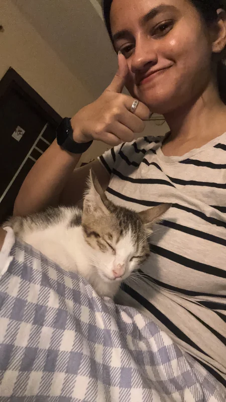 Sleeping on lap