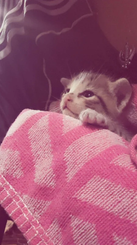 Photo of Mimi/ bindu