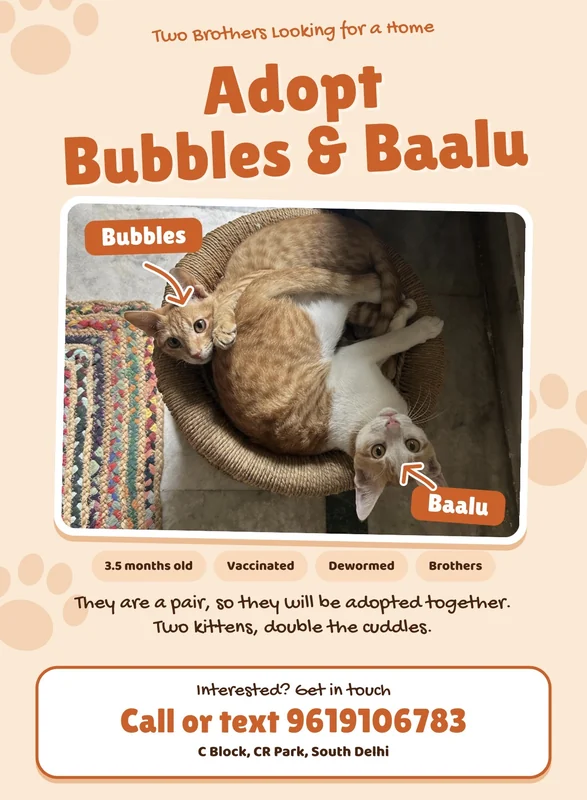 Photo of Baalu