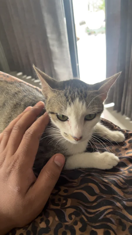 Photo of Pixcy